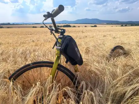 A footbike Ride Through the Fields