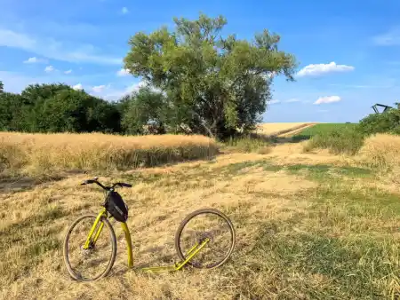 A footbike Ride Through the Fields