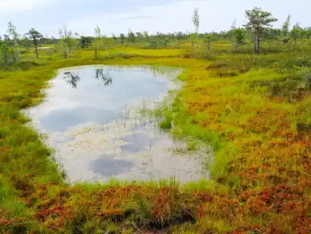 Kemeri National Park