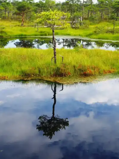 Kemeri National Park