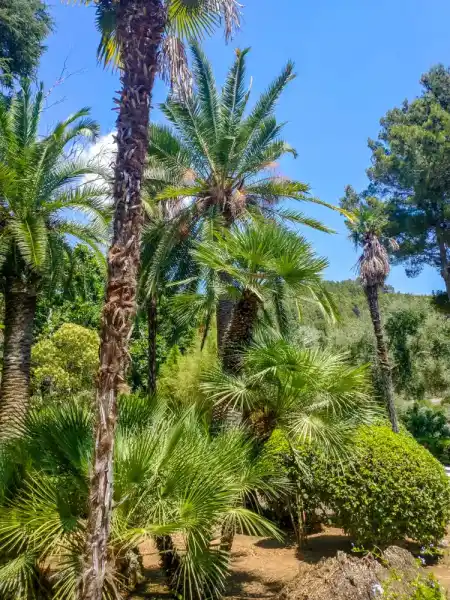 Jardines D’Alfabia