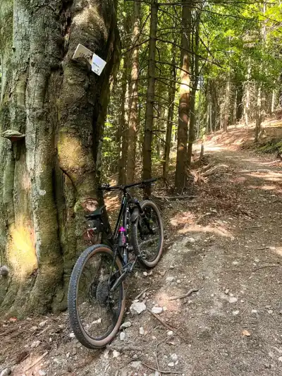 Through Chapels to the Medzihorská Valley