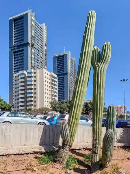 Centre of Santa Cruz