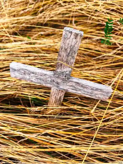 Hill of Crosses: Thousands of Crosses