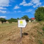 Zaježová