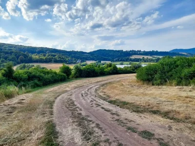 Dobronivský Pond