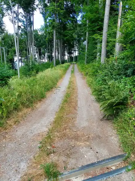 from Zaježová to Sása