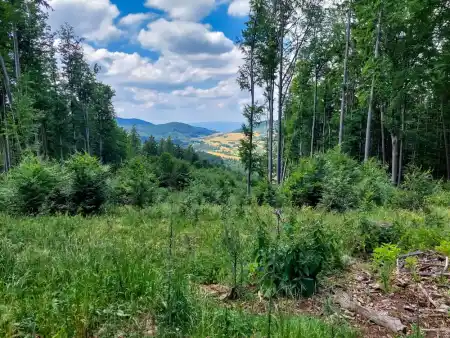 from Zaježová to Sása