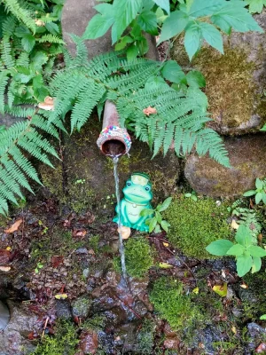 Viera Spring