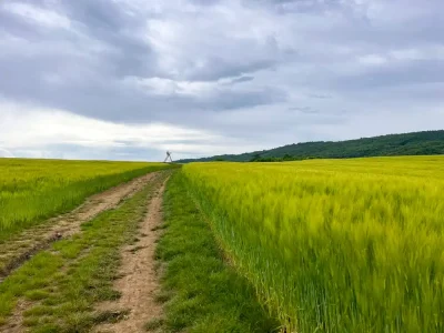 VKT trail
