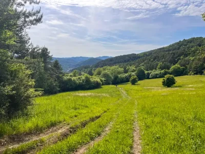 VKT trail