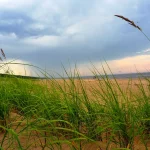 Jurmala