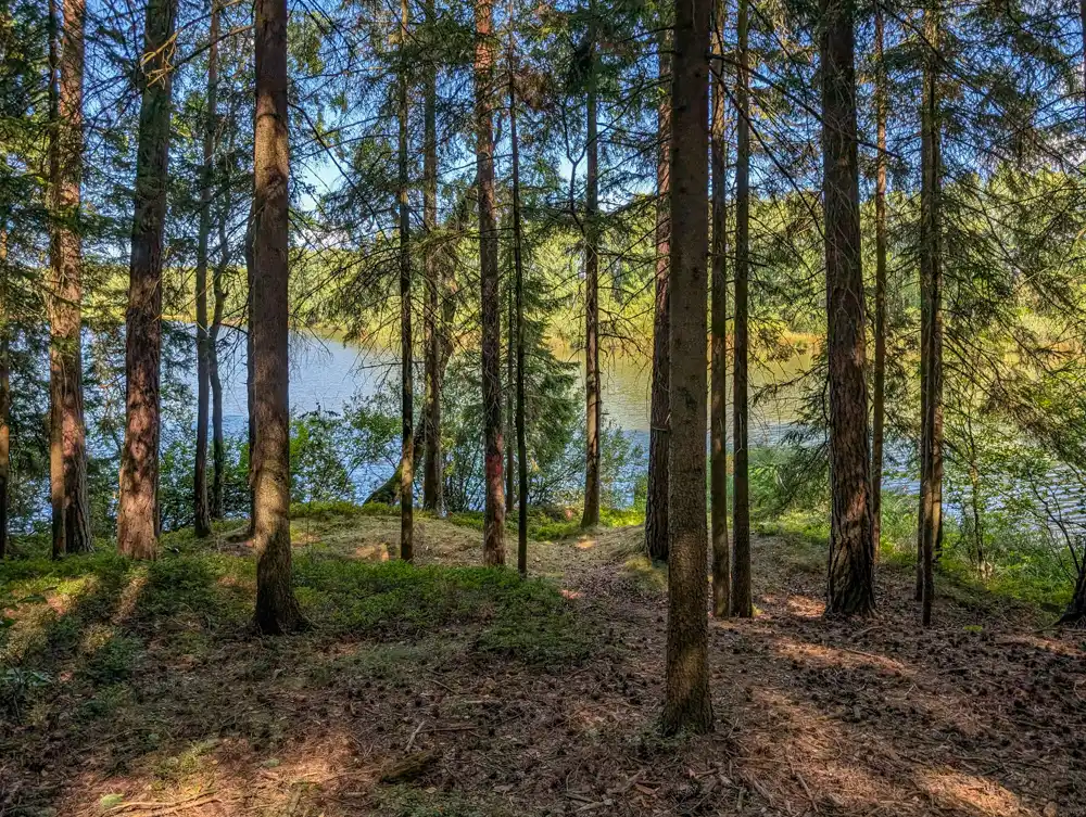 Czech Canada - Osika lake