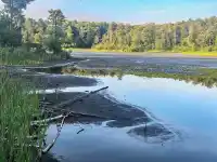 Torfy Peat Lake