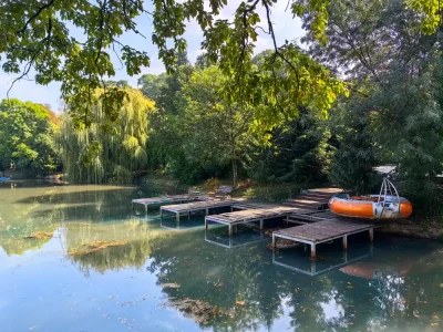 Boris garden