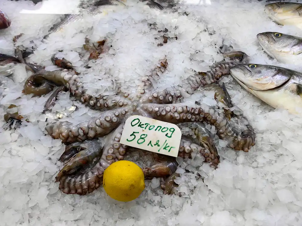 Octopus dinner