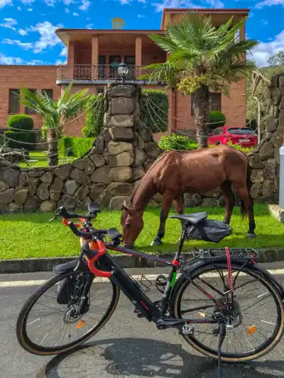 Streets of Lagodekhi