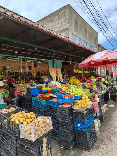 Kakheti wine country