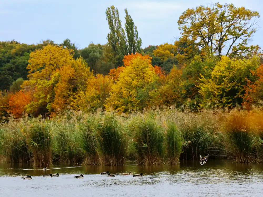 Lednice Ponds
