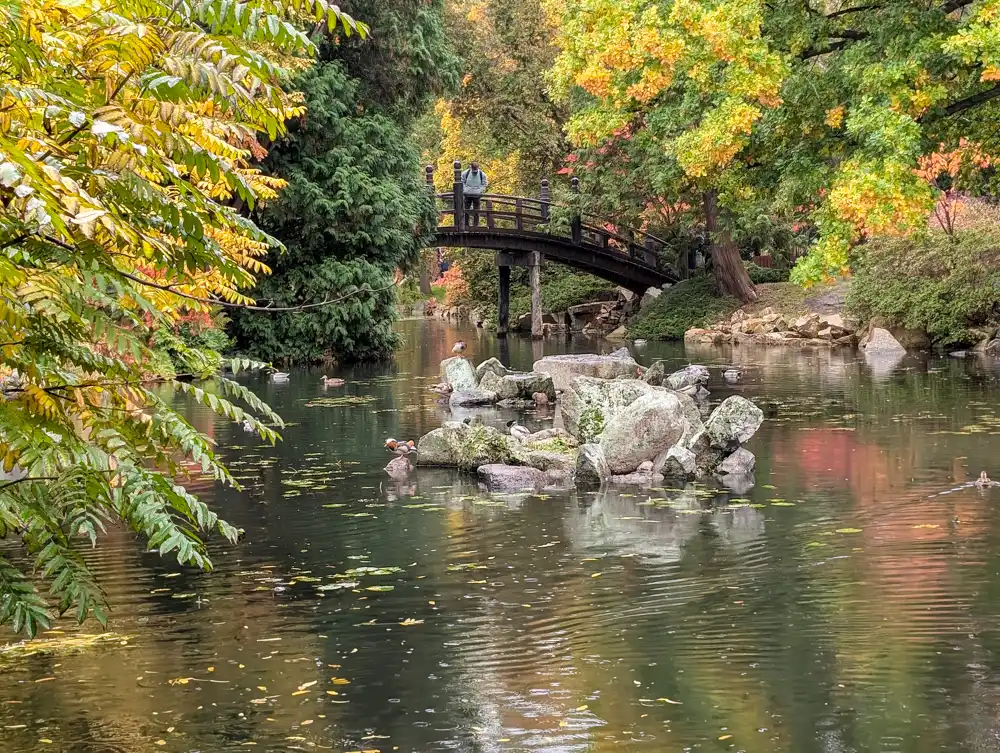 Japanese gardens