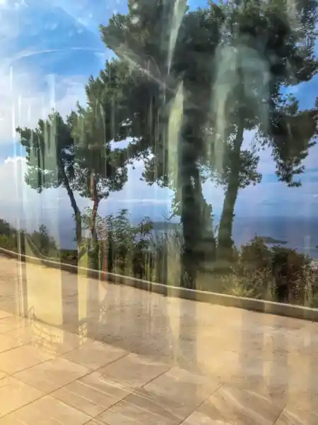 Small Winemaking Revolution