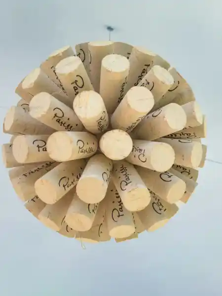 Small Winemaking Revolution