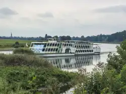 Scootering Along the Elbe