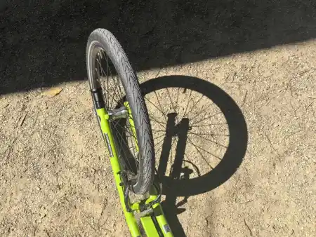 Scootering Along the Elbe