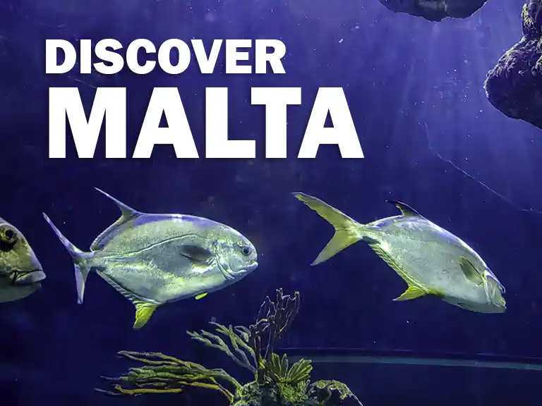 Discover Malta