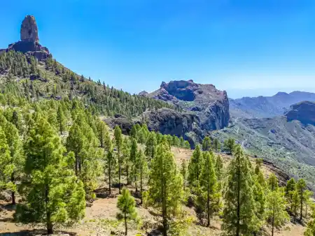 Rowue Nublo