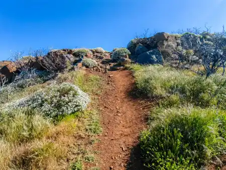 tejeda Trail