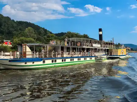 Steamboats on the Elbe