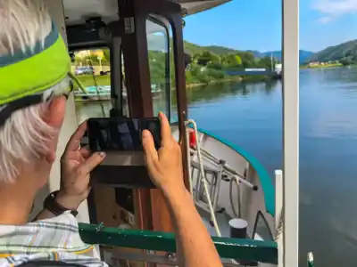 Steamboats on the Elbe