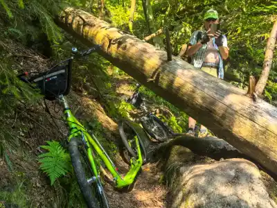 Löwenkopf — Lion’s Head Rock