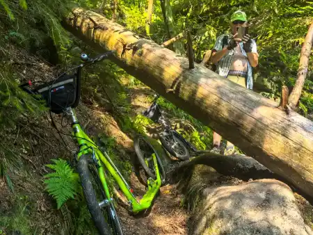 Löwenkopf — Lion’s Head Rock