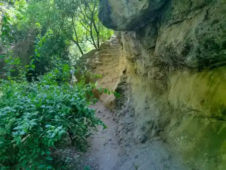 The trail to the lake