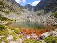 Červene pleso