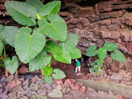 Entry Cueva de los Verdes