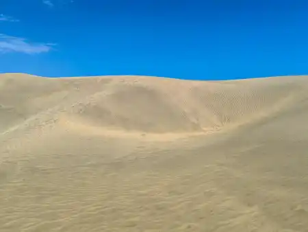 Maspalomas Dunes