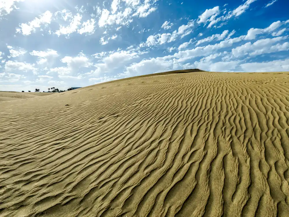 The dunes draw contours before sunset