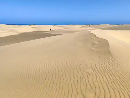 Maspalomas Dunes