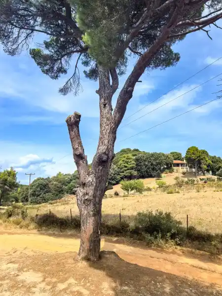 hiketrail ST7 Skiathos