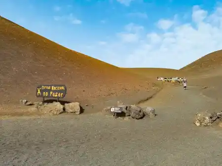 Camel tour Timanfaya