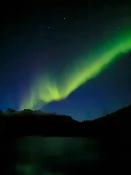 Northern Light Lofoten