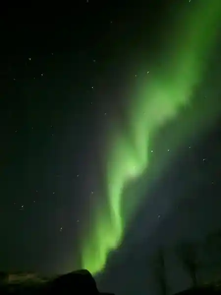 Northern Light Lofoten