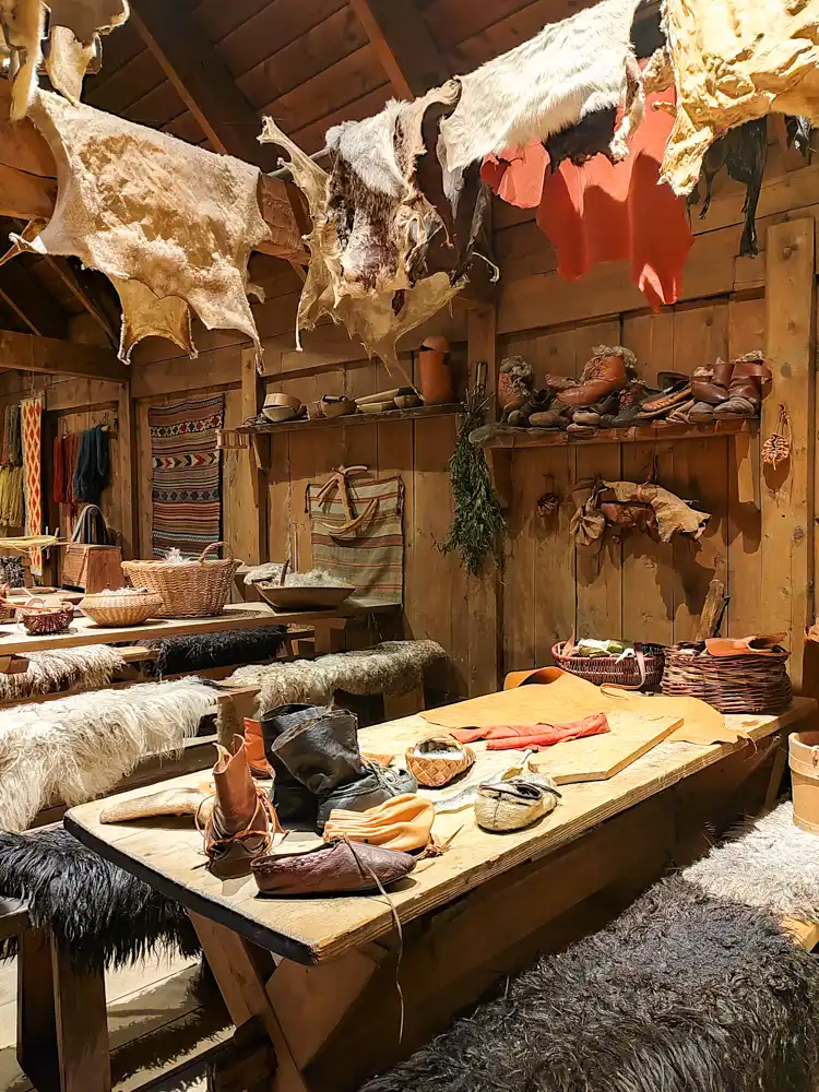 Viking Museum
