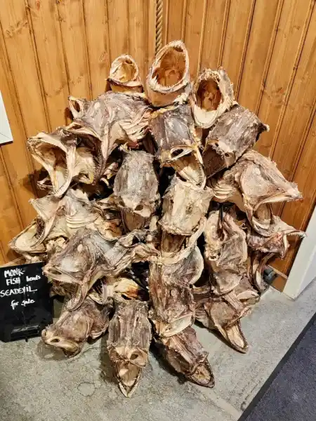 Reine fishing village